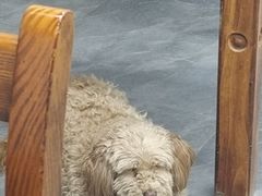 -银泰百货(舟山临城店)