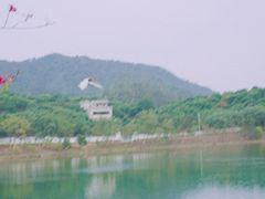 -凤岗南门山森林公园