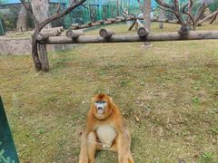 -西安秦岭野生动物园
