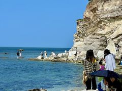 -养马岛旅游度假区