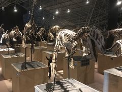 -世界恐龙谷景区