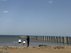 -山东八大碗山东老字号