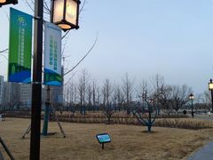 -西海子公园