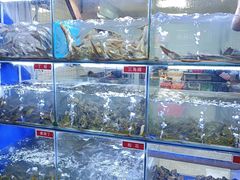 -石锅苗苗鱼(武汉首店)