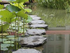 -四川大学(华西校区)