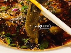 -情妹耙泥鳅·江湖川菜(科华店)