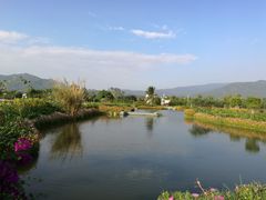 -亚龙湾国际玫瑰谷