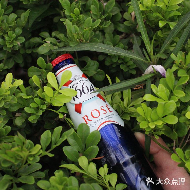 樱花季怎么少得了嘉士伯1664桃红啤🥂