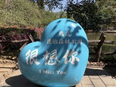 -西双版纳原始森林公园