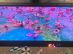 -南宫温泉水世界