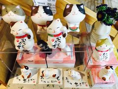 -猫的天空之城概念书店(丽江古城饮玉巷店)