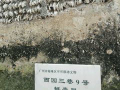 -小洲村