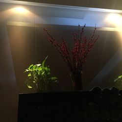 -史云逊养发护发