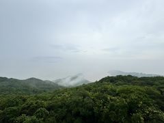 -普陀山风景区-佛顶山