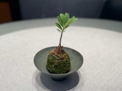 -龙宴海鲜城(经中路店)