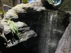 -江和美海洋公园