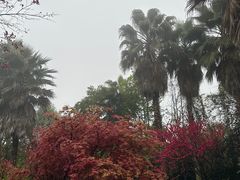 -南山植物园