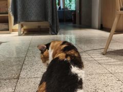 -谷咖啡·鲜花绿植花园餐厅