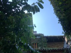 -无影脚佛山陈氏盲公丸始创店(飞鸿街店)