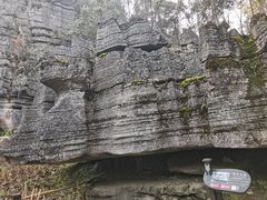 -梭布垭石林景区