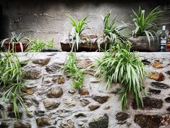 -在路上酒吧(大理古城店)