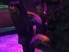 -沈阳海洋探索中心