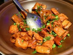 -马仕玖煲·融合菜·酥不腻烤鸭(人大店)