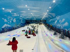 -世界之窗阿尔卑斯冰雪世界
