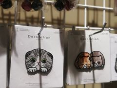 -猫咪博物馆(顶澳仔猫街店)