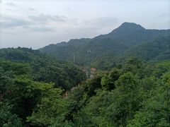 -梦幻奥陶纪景区