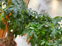 -真利味·脊骨火锅·正宗韩国料理(韩乐坊店)