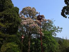 -青岛崂山太清宫