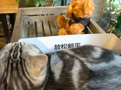 -咖法森林·咖啡  酒吧(天河店)