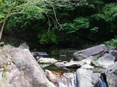 -百杖潭景区