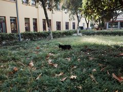 -T80科技文化国际社区-停车场