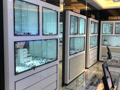 -宝岛眼镜·星创视光中心(黄河店)