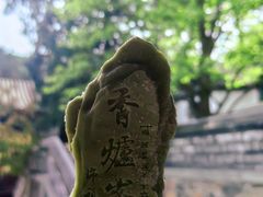 -香山公园
