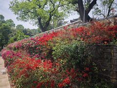 -红螺寺