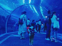 -成都浩海立方海洋公园