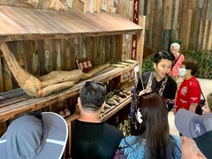 -西双版纳原始森林公园
