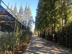 -前小桔亲子创意农场·草莓采摘·露营烧烤