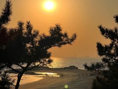 -老虎石海上公园