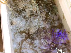 -桂萍特色牛筋牛杂(长堤街总店)