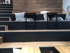 -瞄一喵猫咖(格力海岸店)