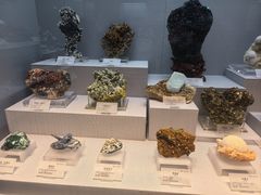 -湖南省地质博物馆