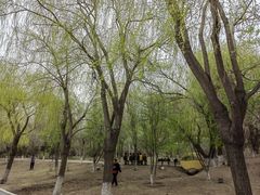 -长春公园(普阳街道)