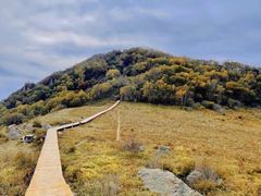 -白草畔自然风景区