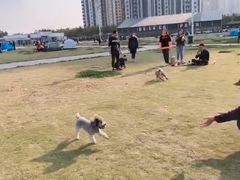 -栖露营camping·天幕烧烤·团建拓展·采摘营地
