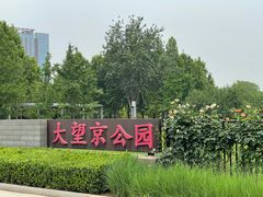 -大望京公园