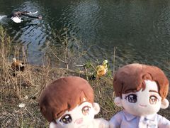 -长白岛森林公园